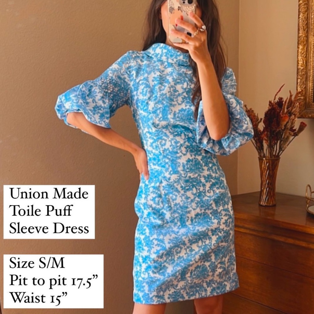 Vintage toile puff sleeve dress